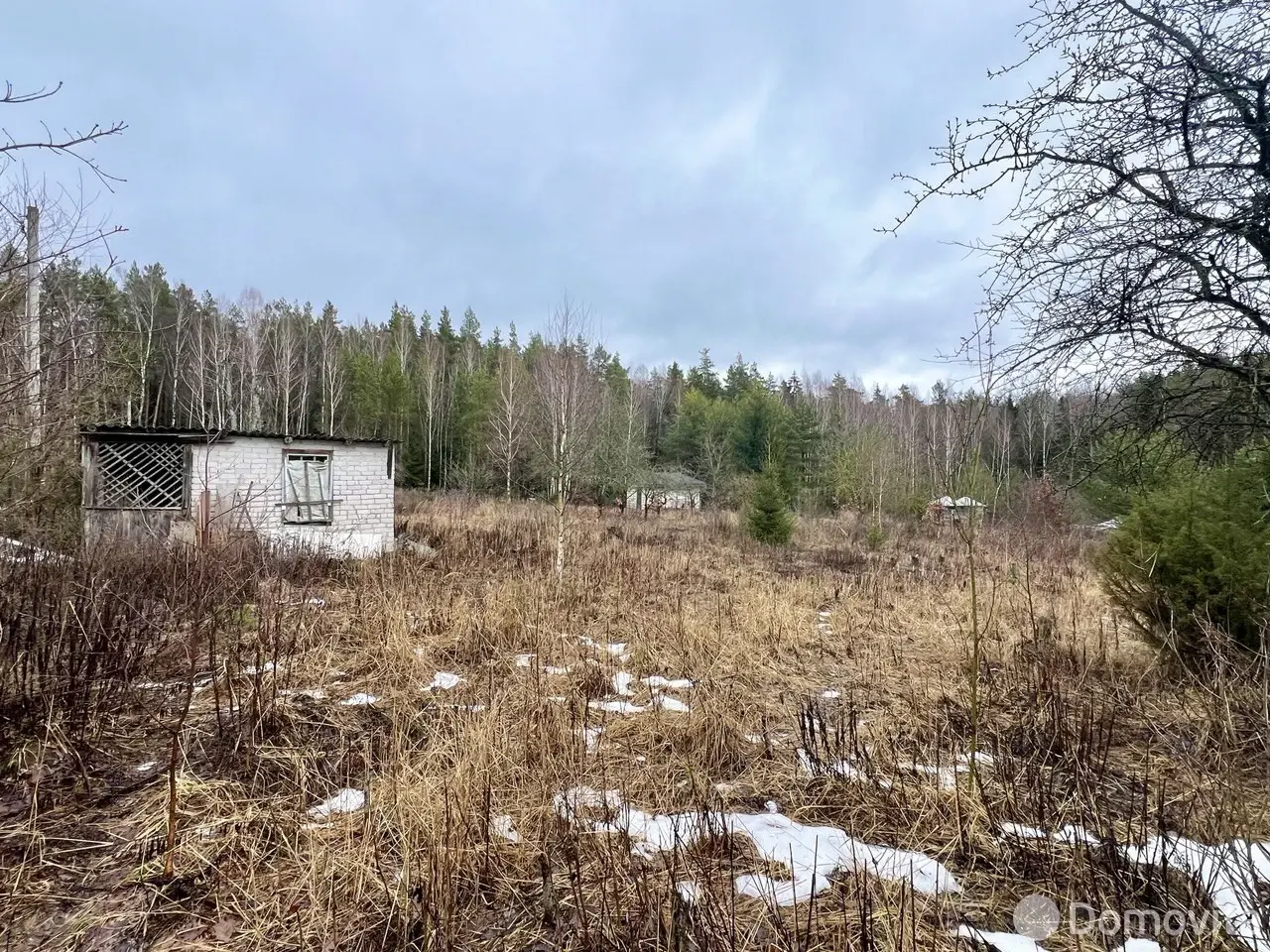 участок, Ореховая роща, 