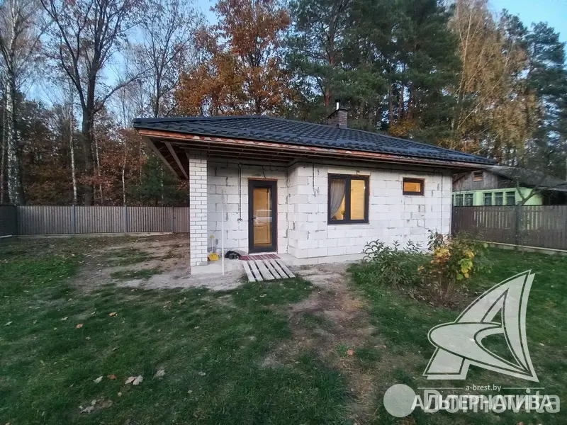 дача, Амарилис-92, 