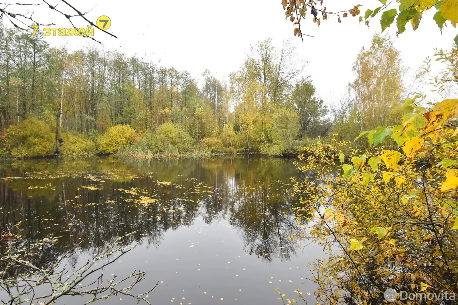 Продажа 2-этажной дачи в Экономист-2 Минская область, 11400USD, код 184483 - фото 24