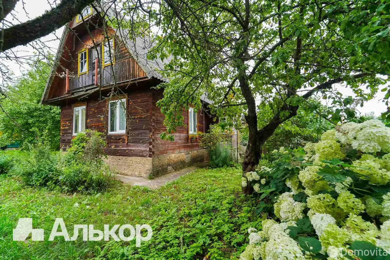 дача, ОРБИТА-82, 