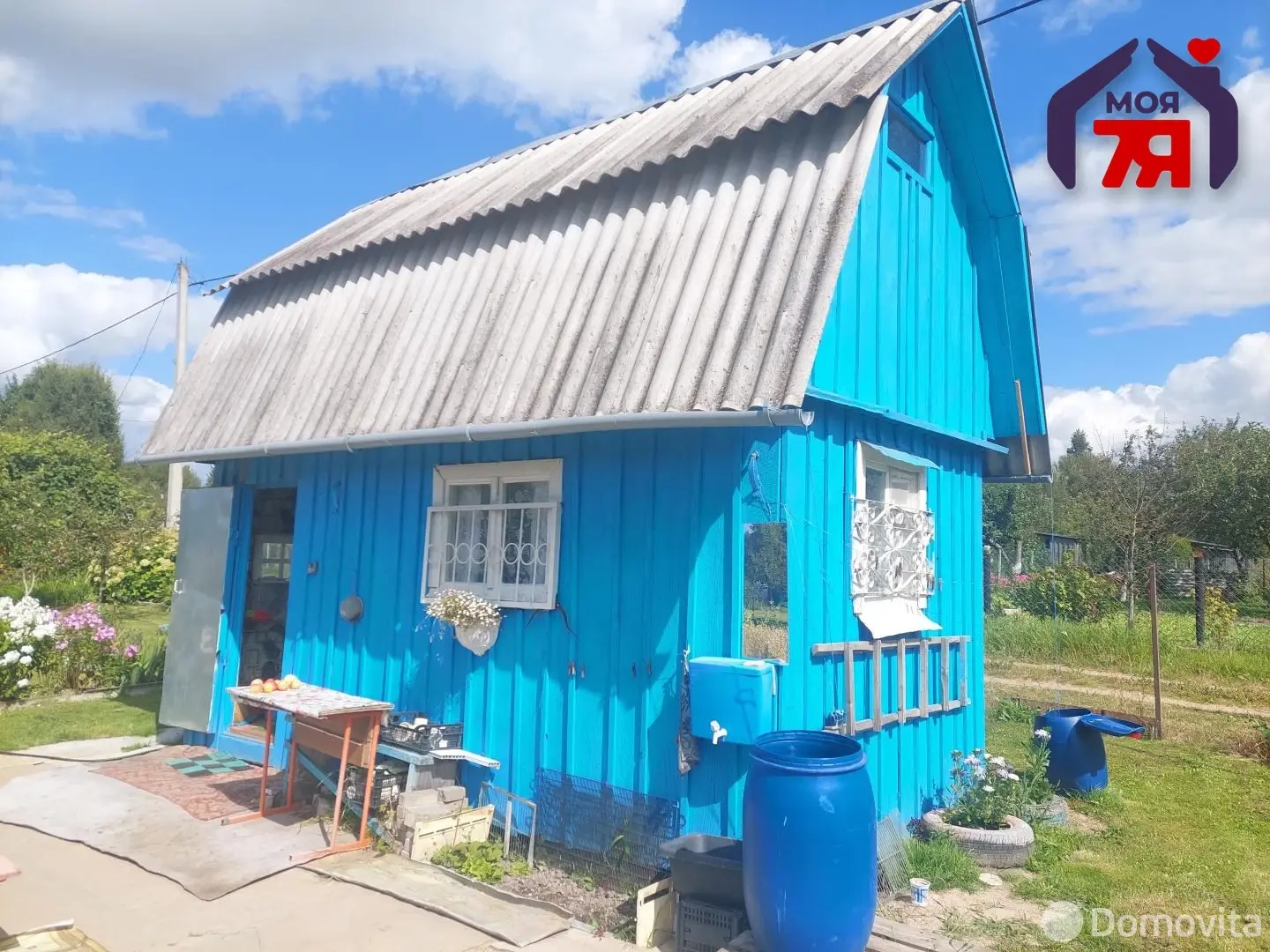 дача, Ромашка, 