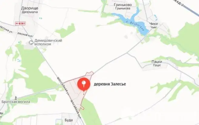 Купить земельный участок, 14 соток, Залесье, Минская область, 25000USD, код 571083 - фото 13