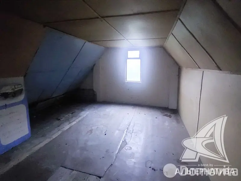 дача, Лесная поляна, 