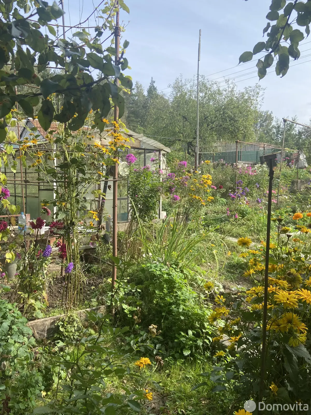 Продажа 1-этажной дачи в Вязань Минская область, 17000USD, код 184185 - фото 15