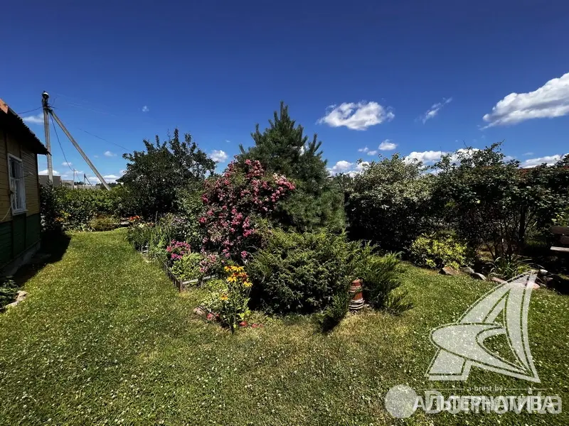 Купить 1-этажную дачу в Меркурий-89 Брестская область, 12350USD, код 185152 - фото 15