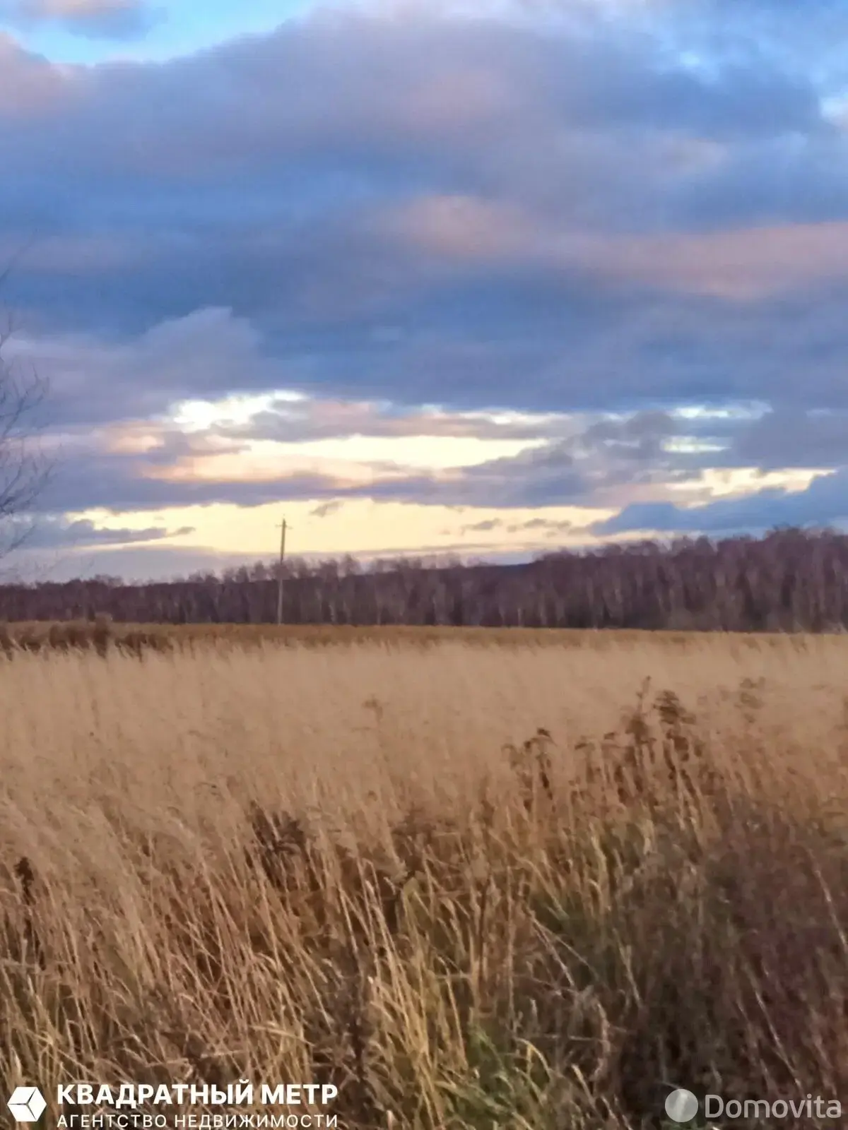 коттедж, Козлы,