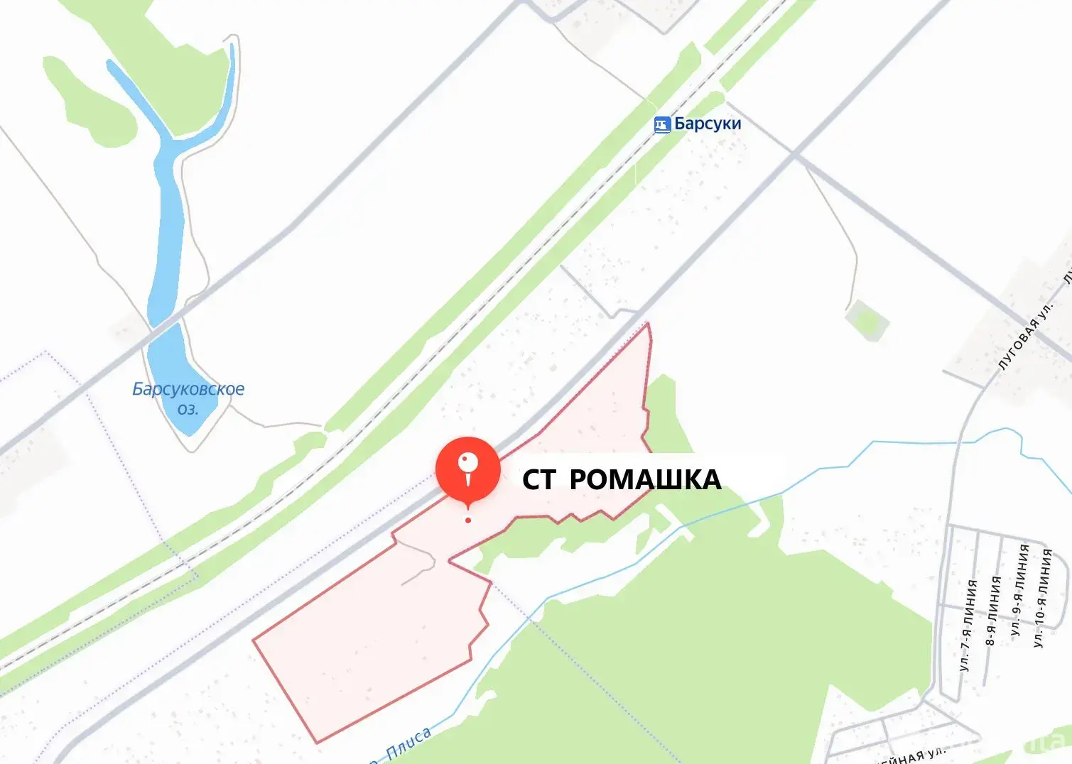 дача, Ромашка,