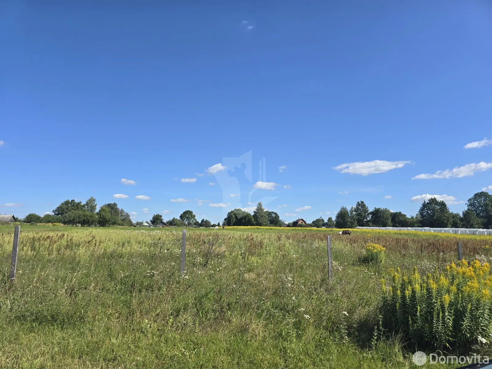 Купить земельный участок, 4.44 соток, Дубрава, Минская область, 3000USD, код 570751 - фото 11