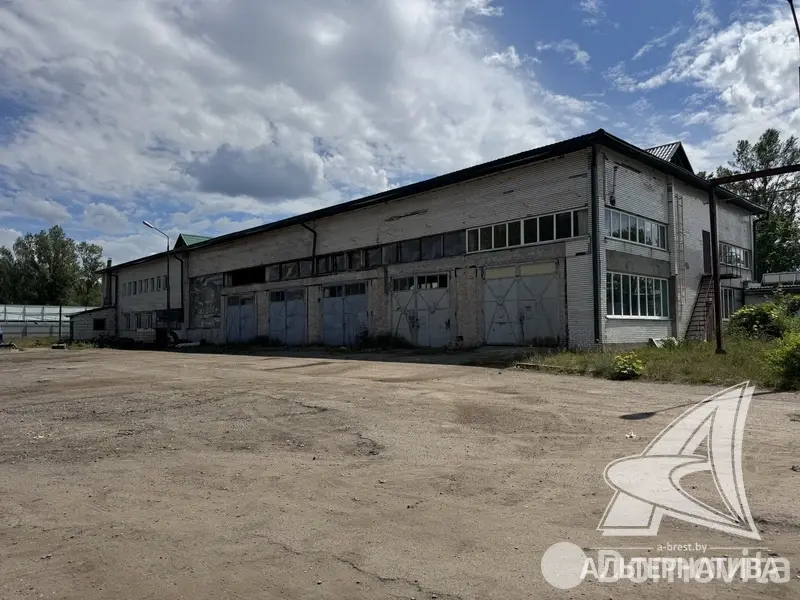 объект сферы услуг, Борисово, 
