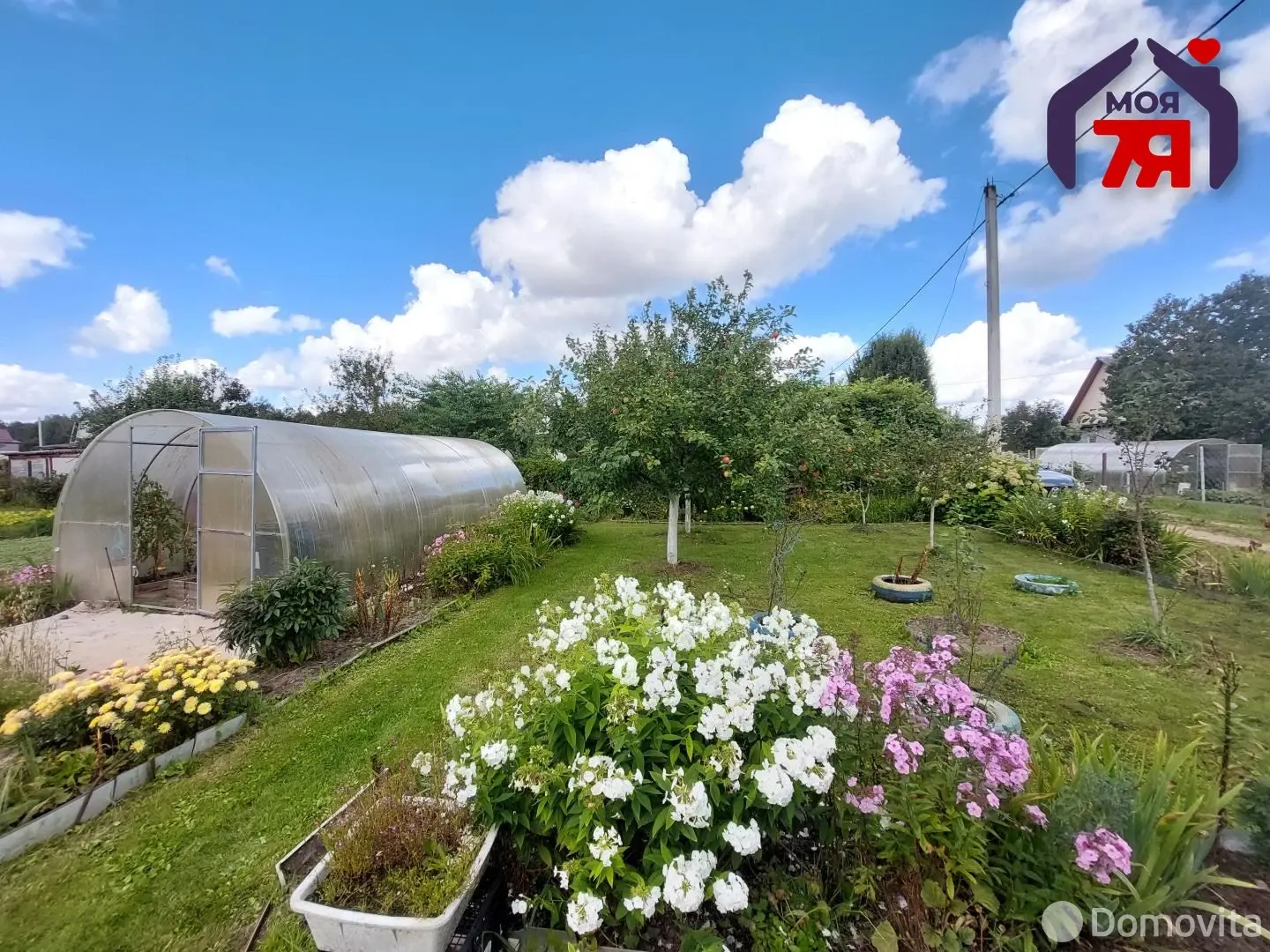 дача, Ромашка, 