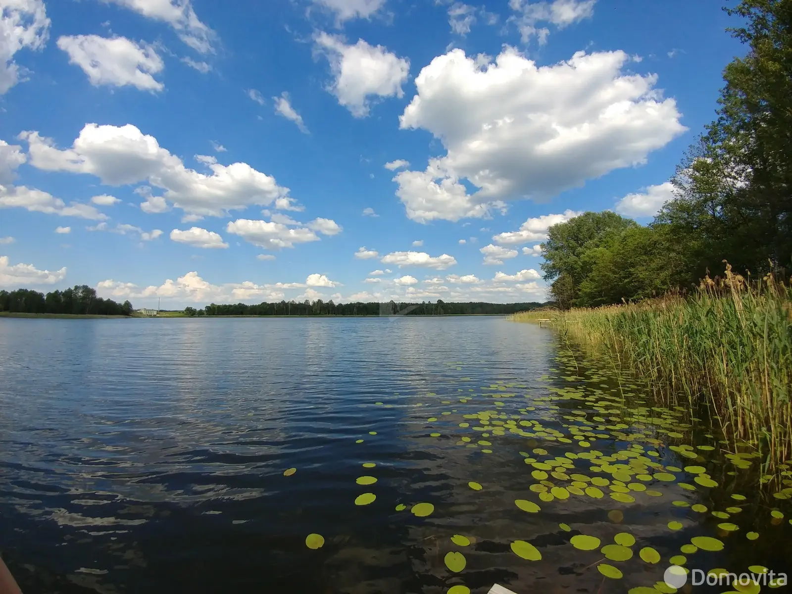 дом, Хвосты, д. 26, стоимость продажи 205 063 р.