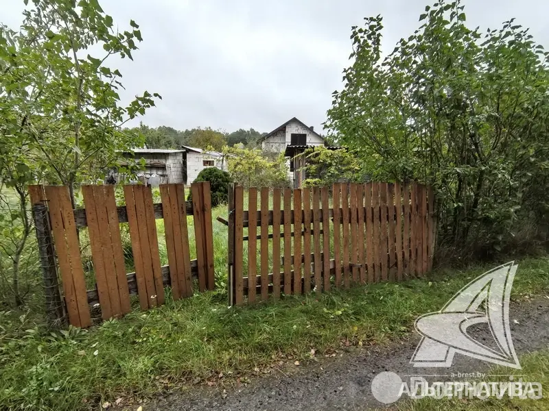 участок, Урожай ОАО Брестхлебопродукт, 