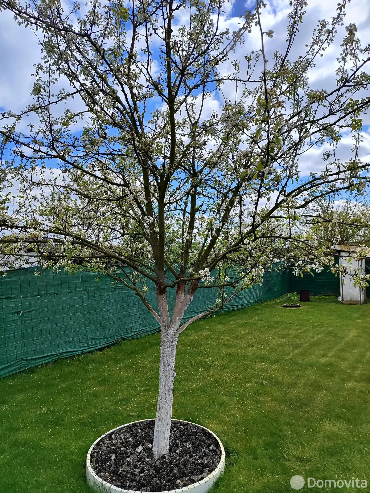 Купить 2-этажную дачу в Здоровье-95 Минская область, 44000USD, код 182593 - фото 30