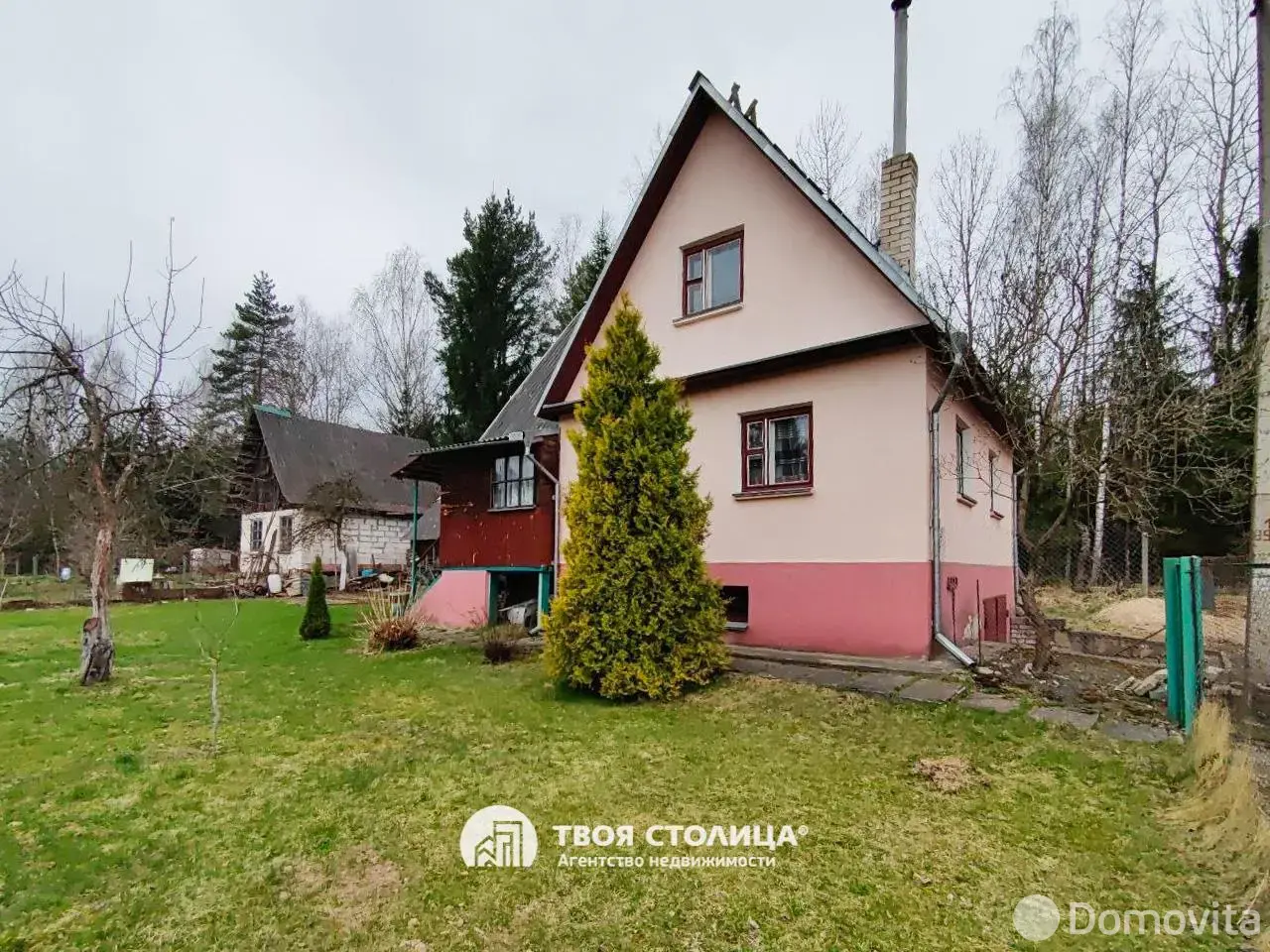 дача, Репортер, 