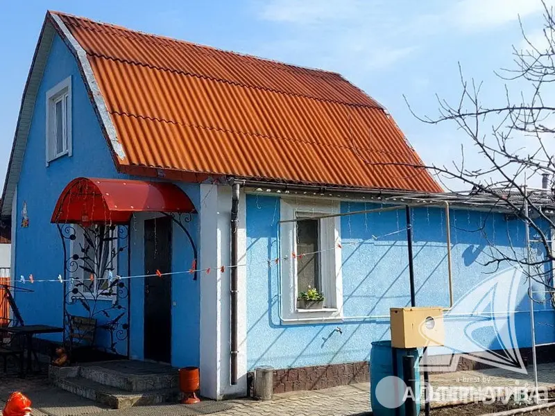 дача, Восток-2009, 