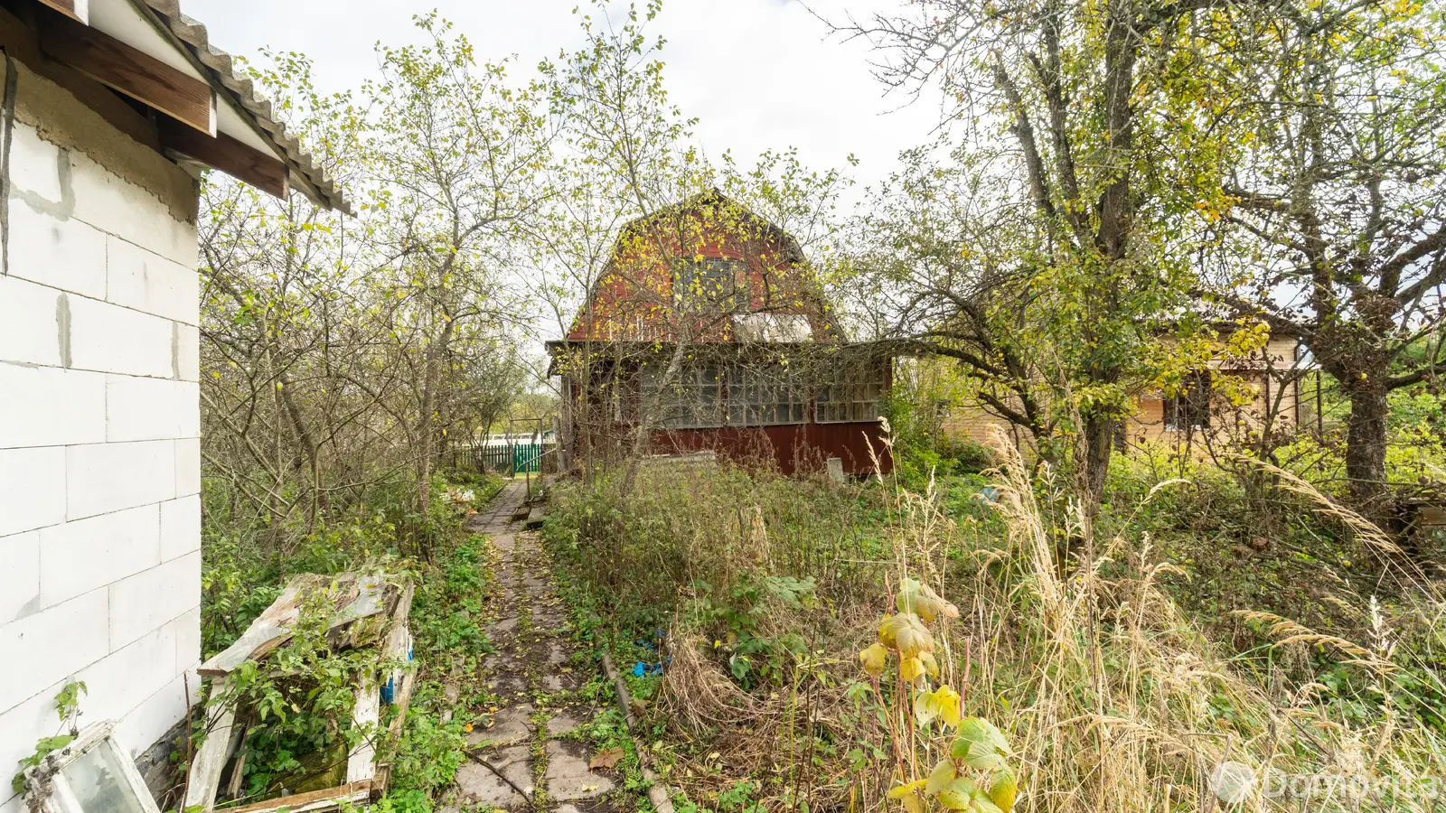 дача, Шарик,