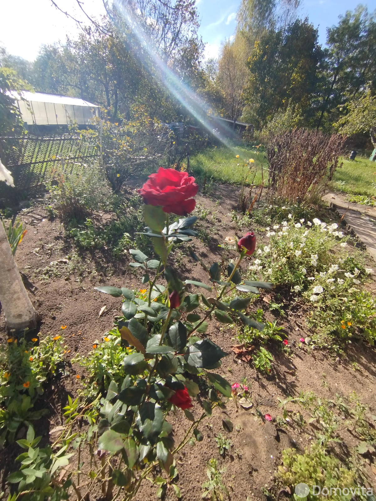 Продажа 2-этажной дачи в Таль Минская область, 14500USD, код 182218 - фото 25