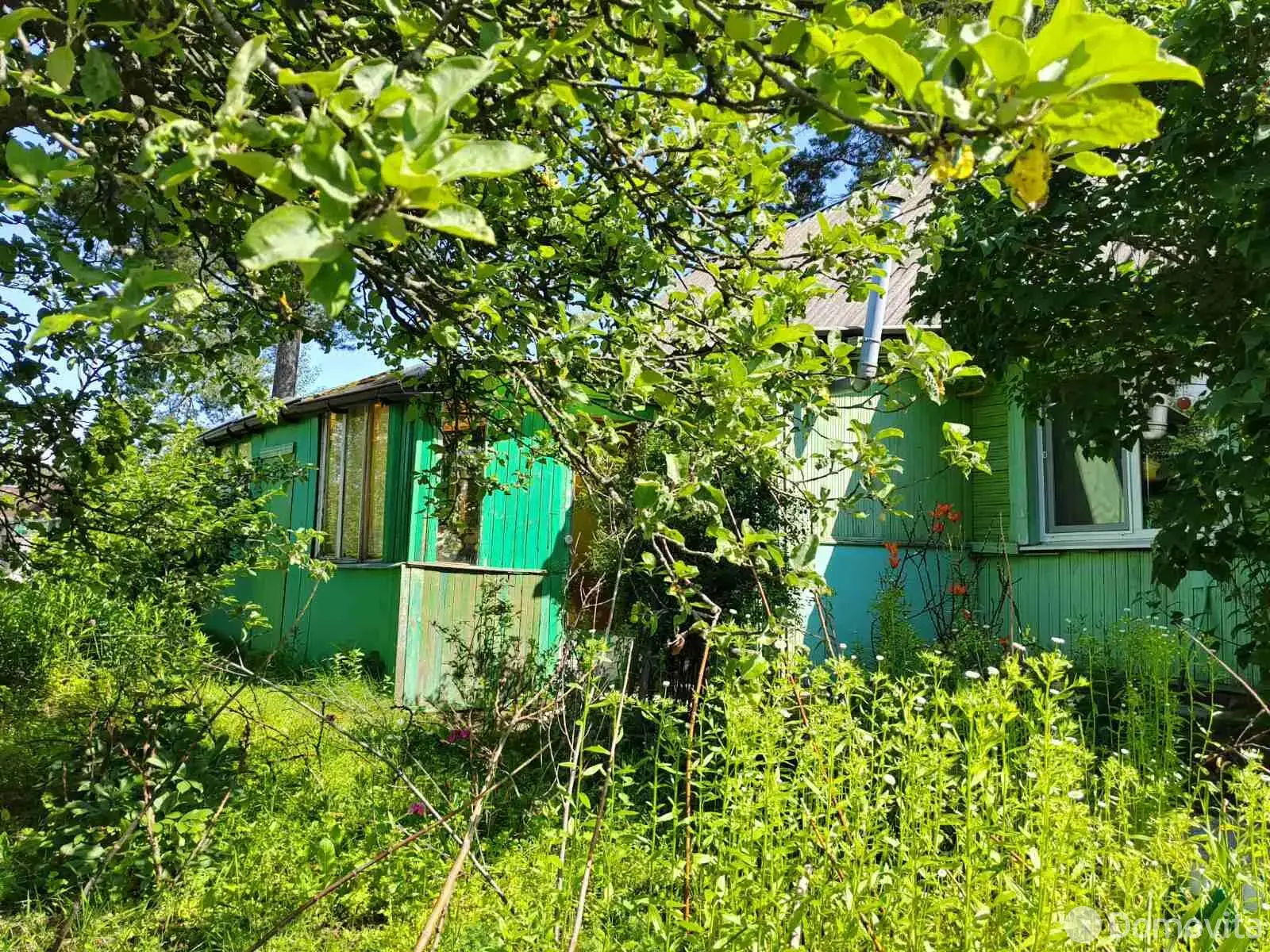 дом, Остров,