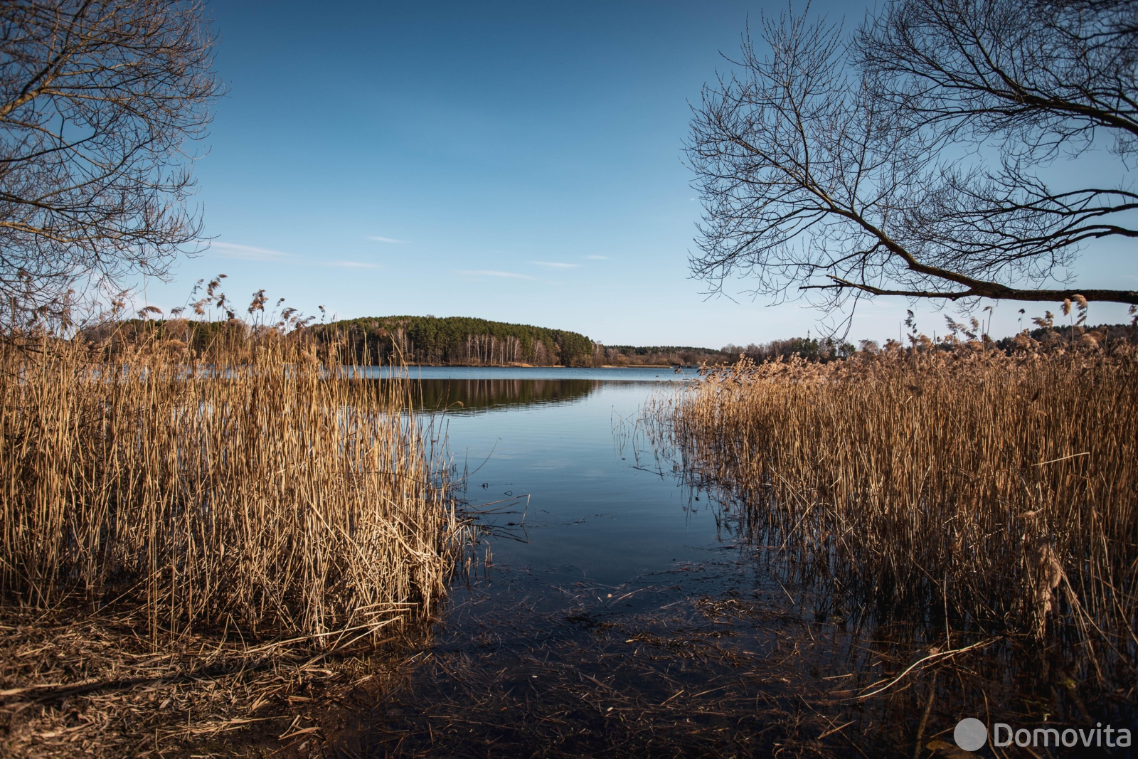 Купить земельный участок, 20.95 соток, Казеково, Минская область, 26500USD, код 571780 - фото 16