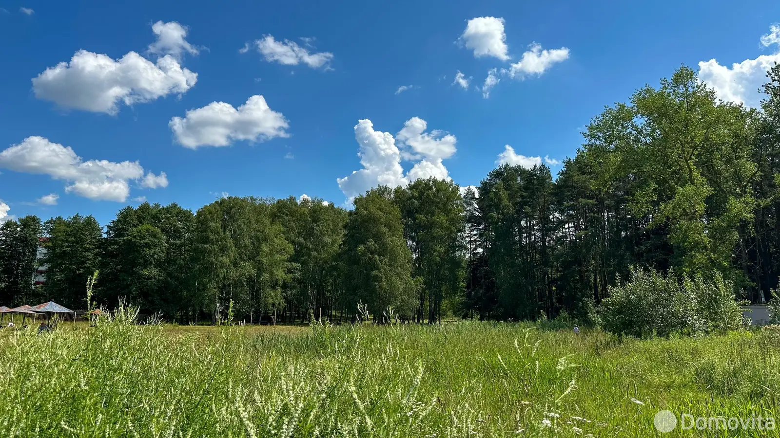 участок, Ждановичи, ул. Подлесная, д. 8