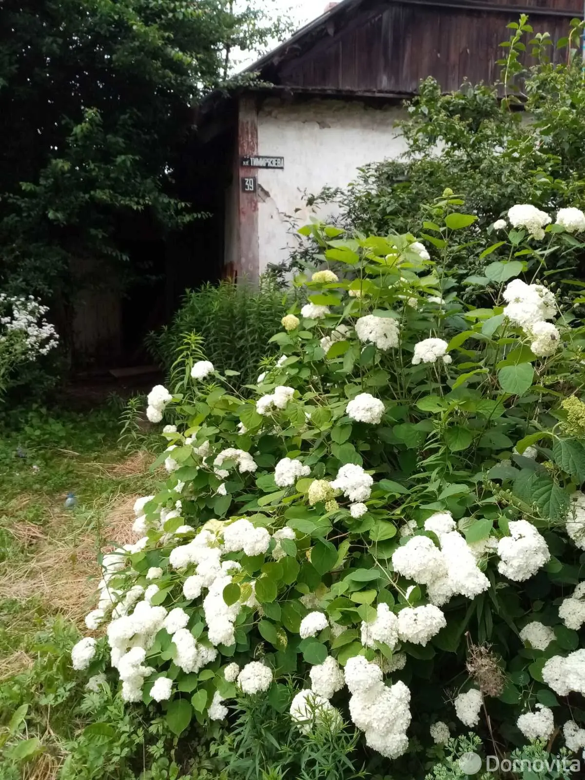 Купить земельный участок, 15 соток, Орша, Витебская область, 9300USD, код 571053 - фото 13