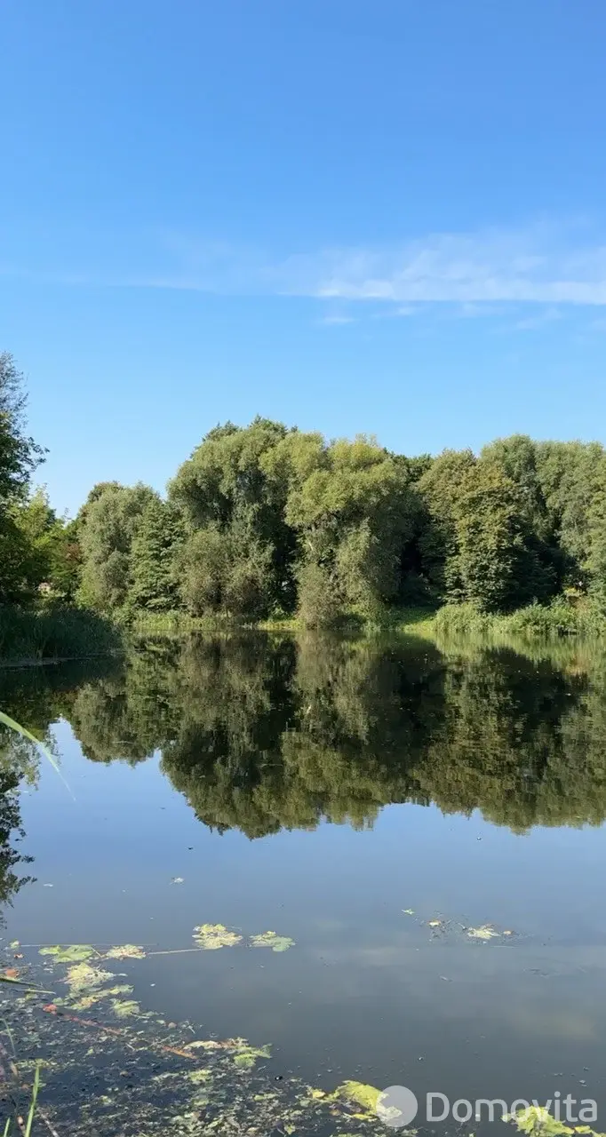 участок, Конюхи, - лучшее предложение