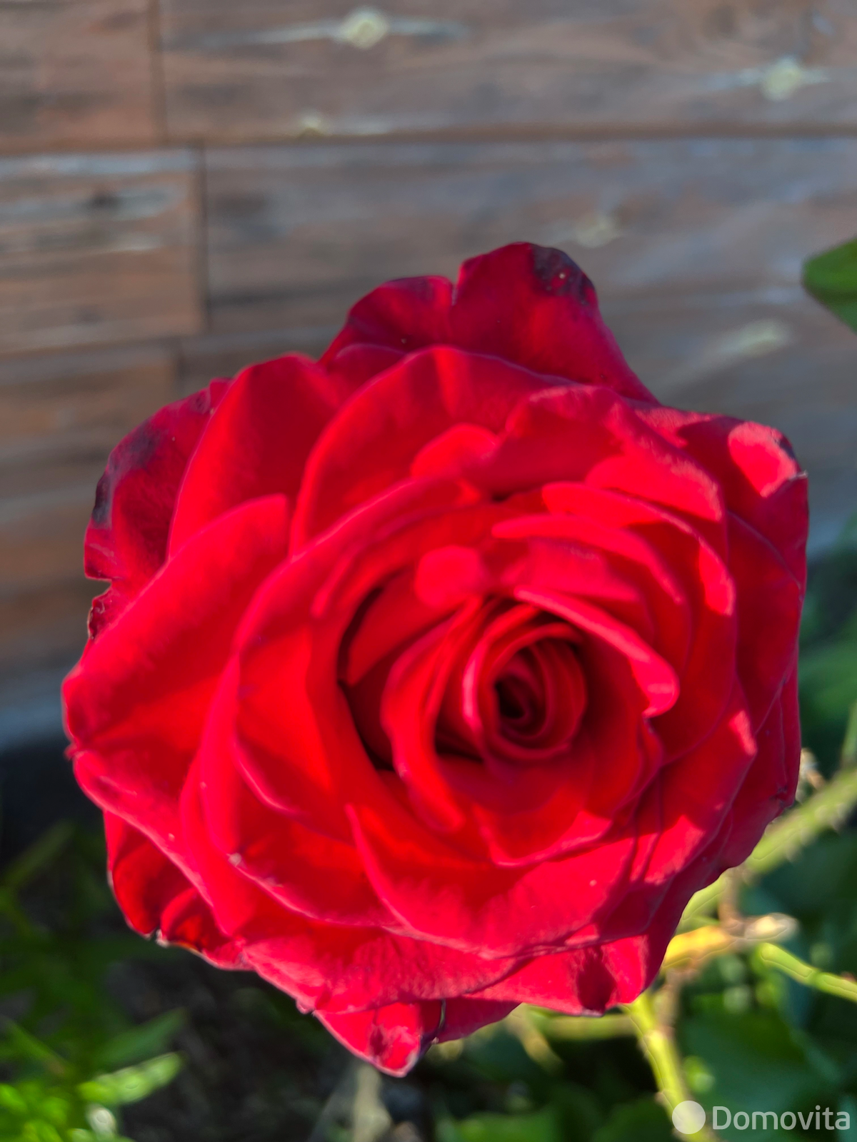 Продажа 1-этажной дачи в Преснаках Минская область, 13500USD, код 183548 - фото 27