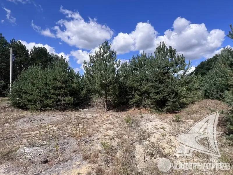 коттедж, Подлесье-Каменецкое, 