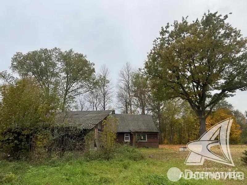 дом, Степанки, 