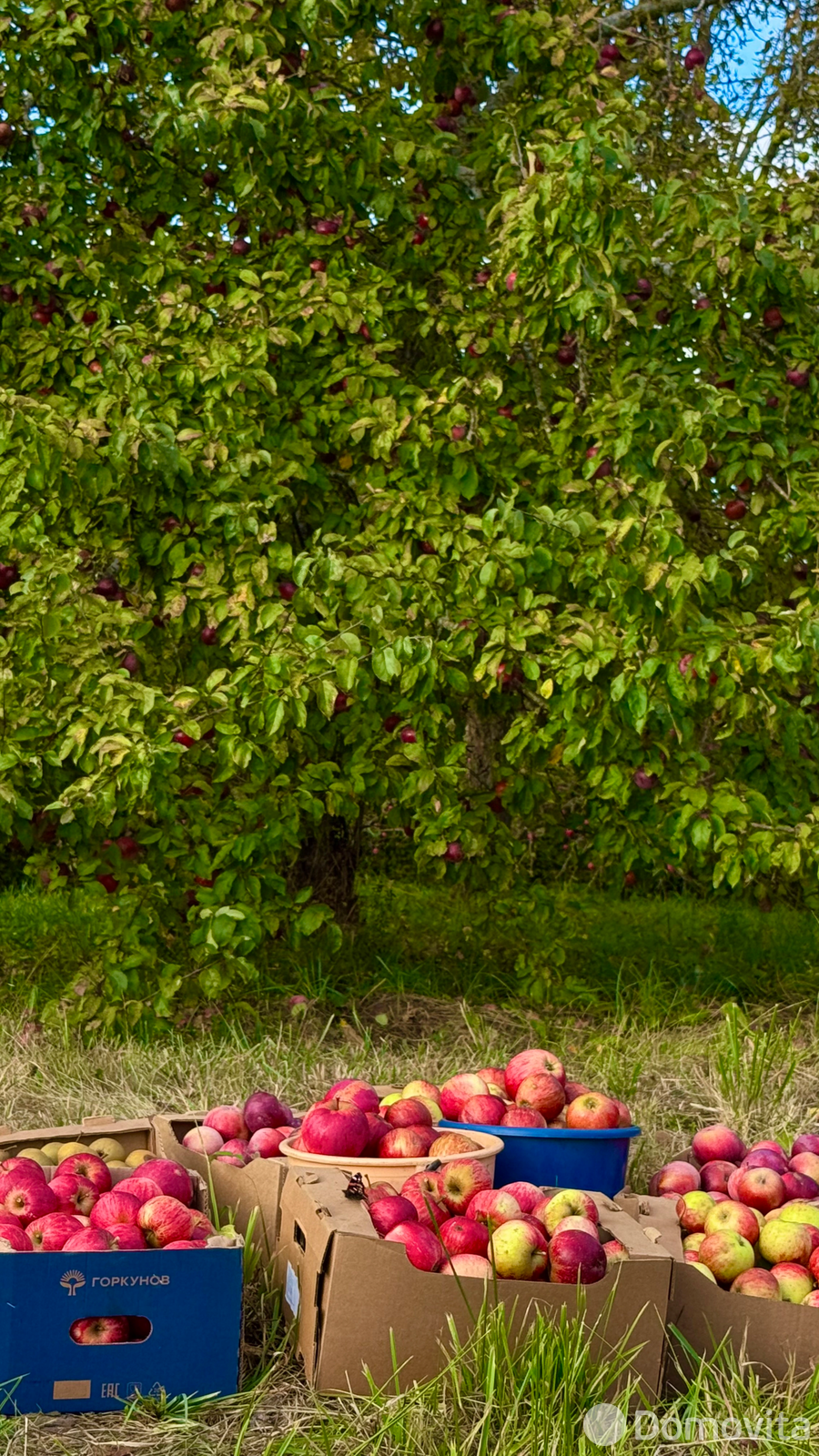 продажа коттеджа, Завидичи,