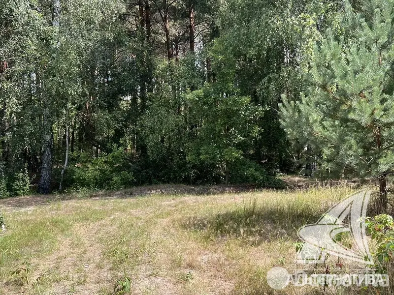 коттедж, Подлесье-Каменецкое, - лучшее предложение