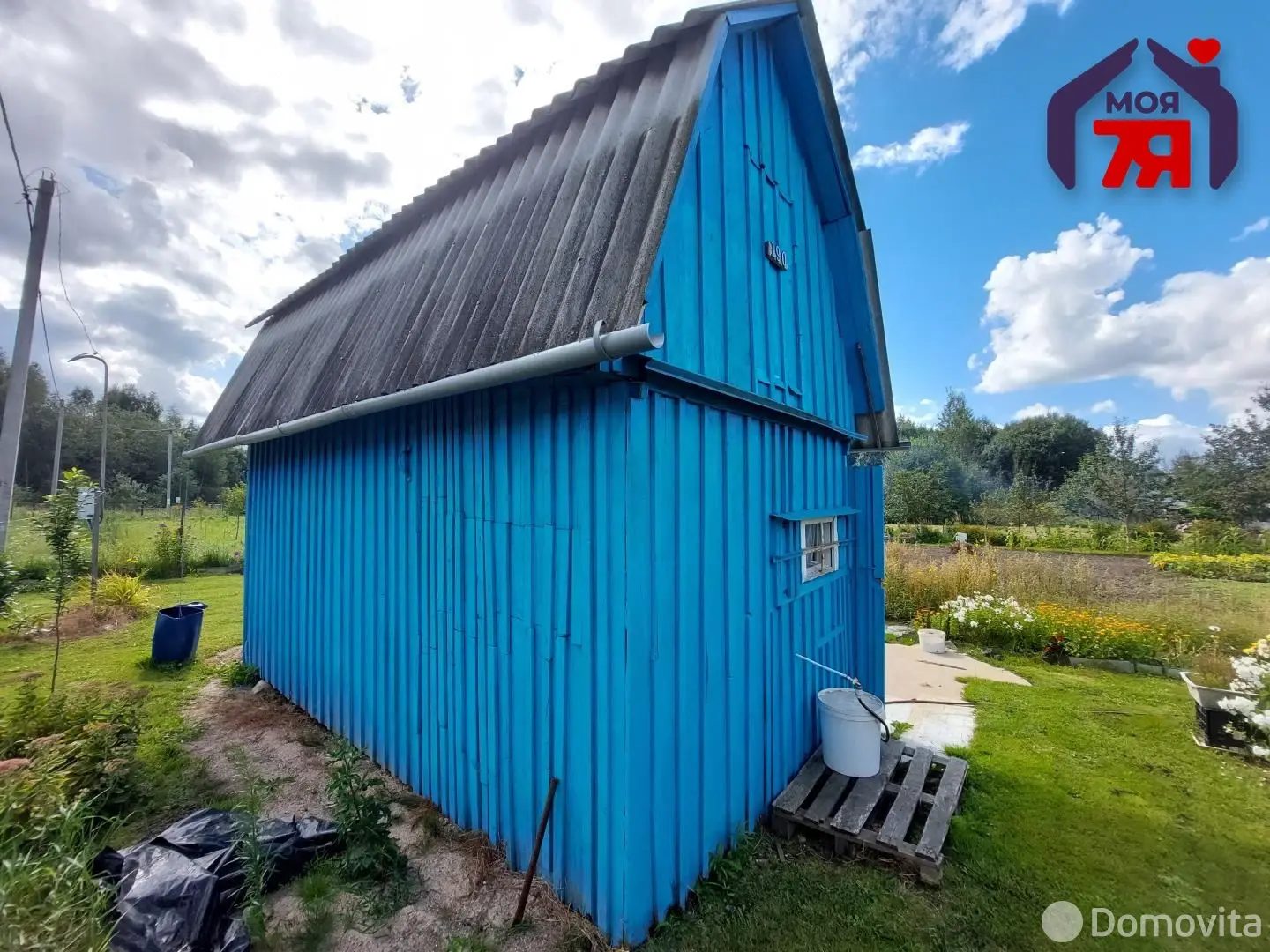 дача, Ромашка, 