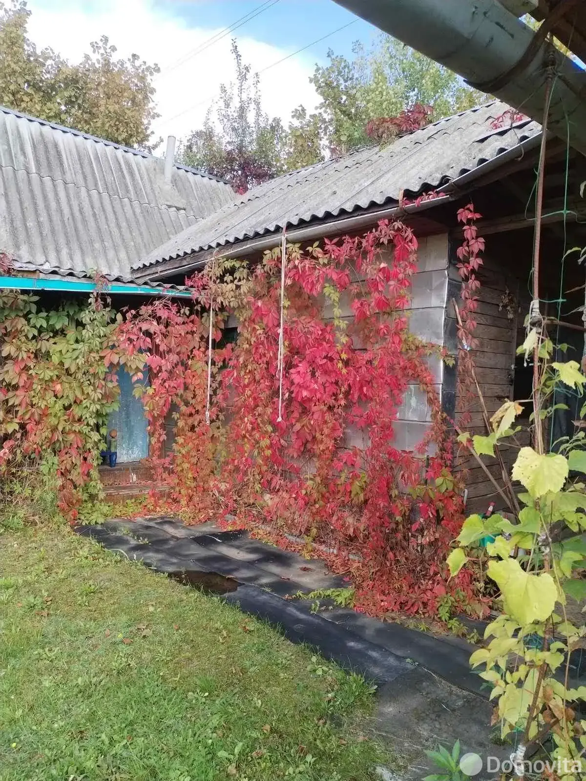 дача, Сосновое, 