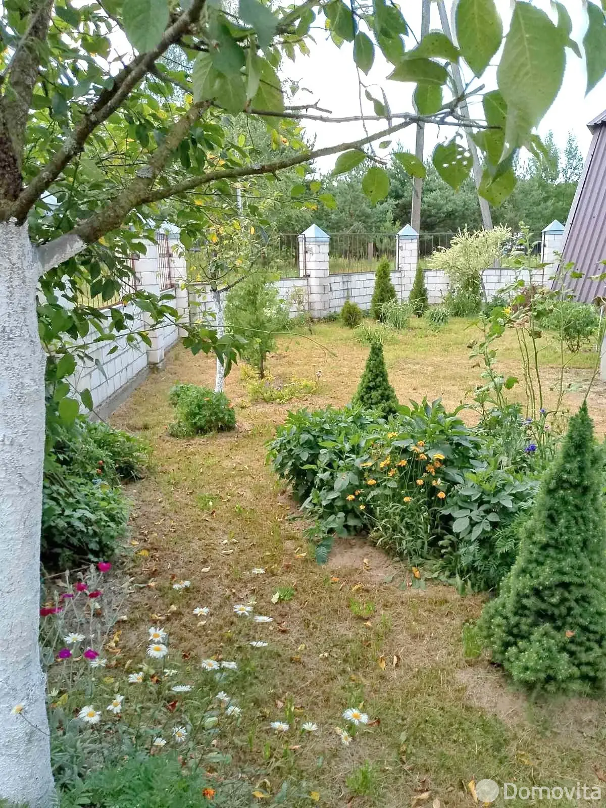 Купить 2-этажную дачу в Борщевке Гомельская область, 42500USD, код 181896 - фото 24