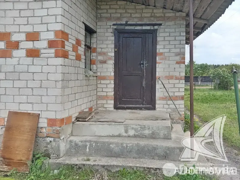 коттедж, Птицефабрика, 