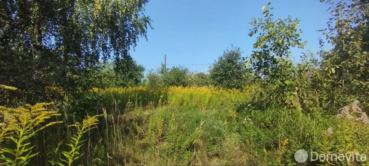 участок, Лесное-90 ,