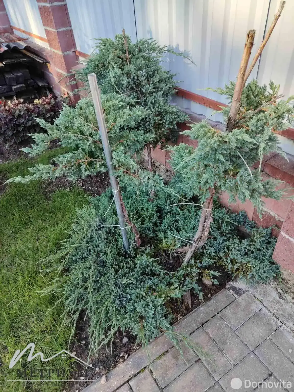 Стоимость продажи дачи, Птичь, 