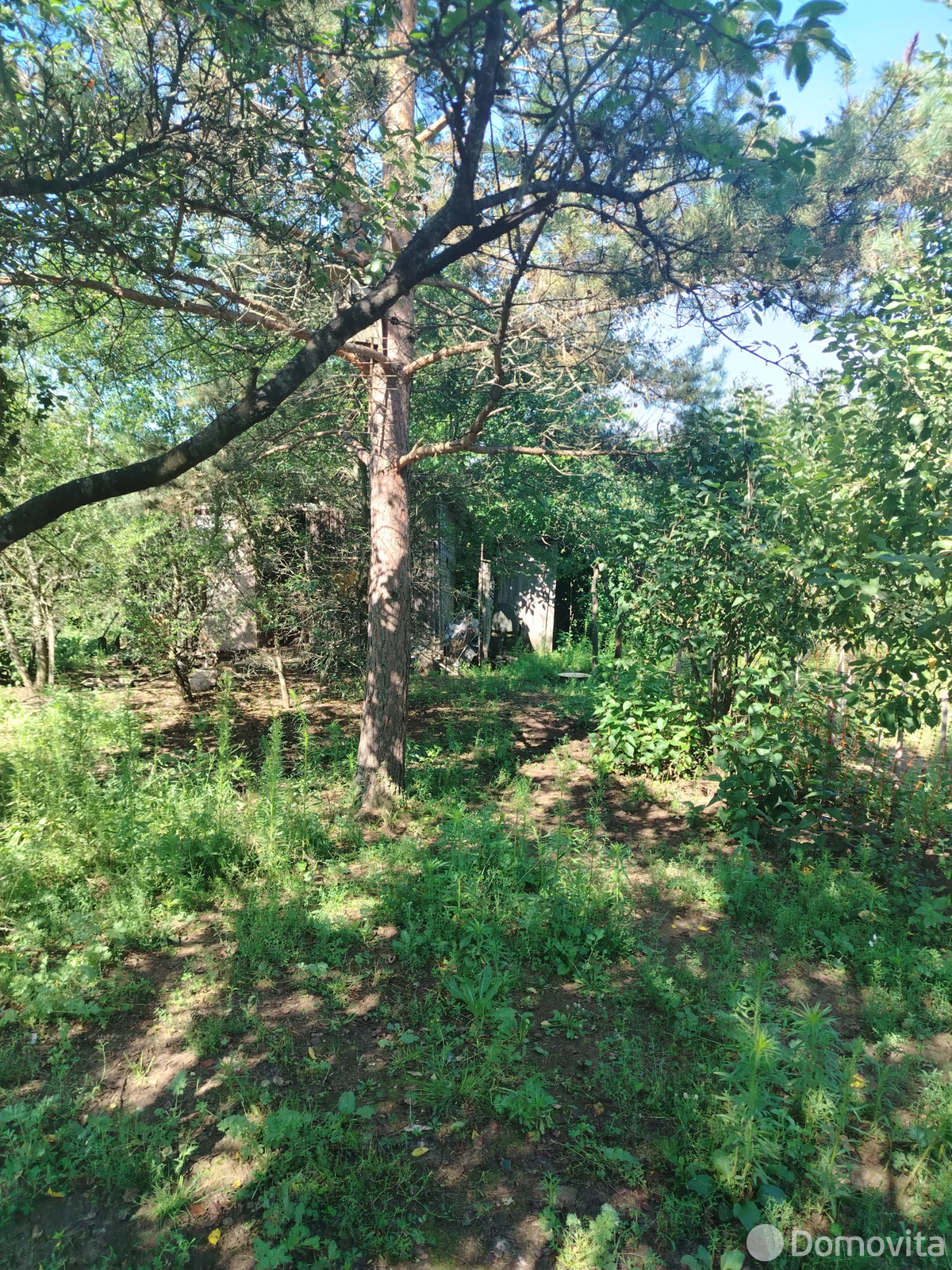 дом, Татарка,