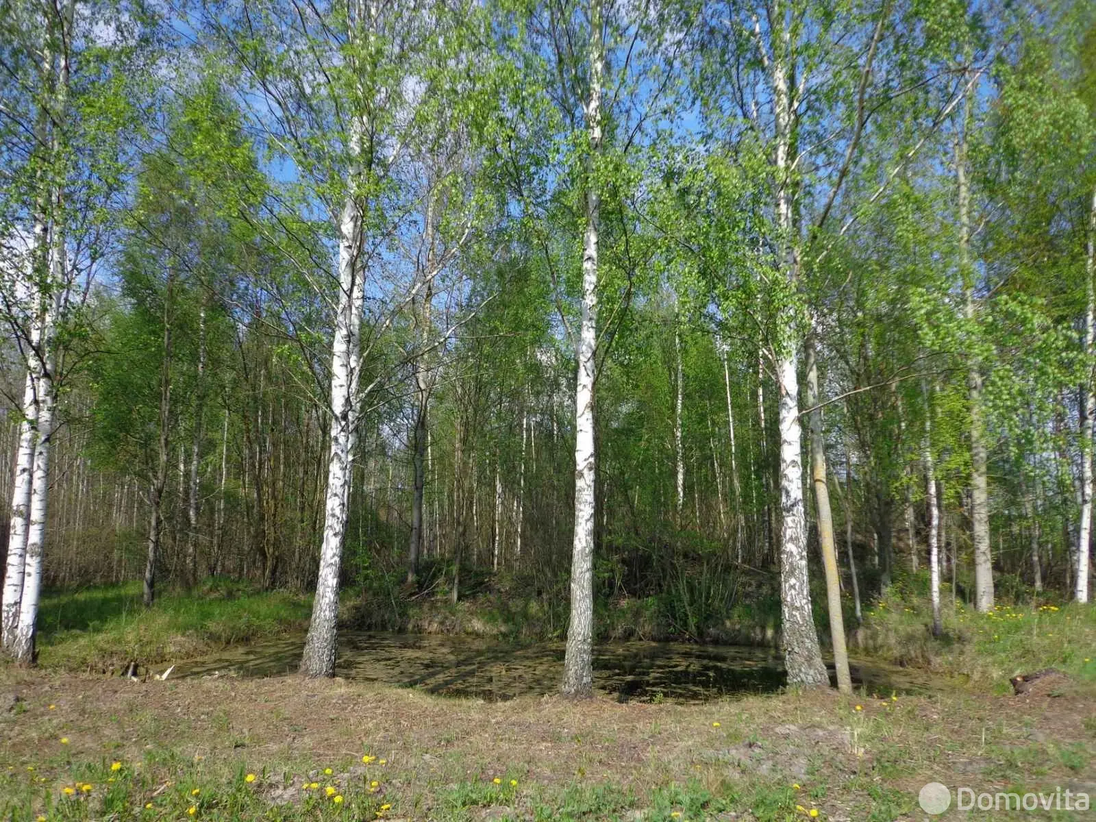 Стоимость продажи участка, Надежда Бел, 