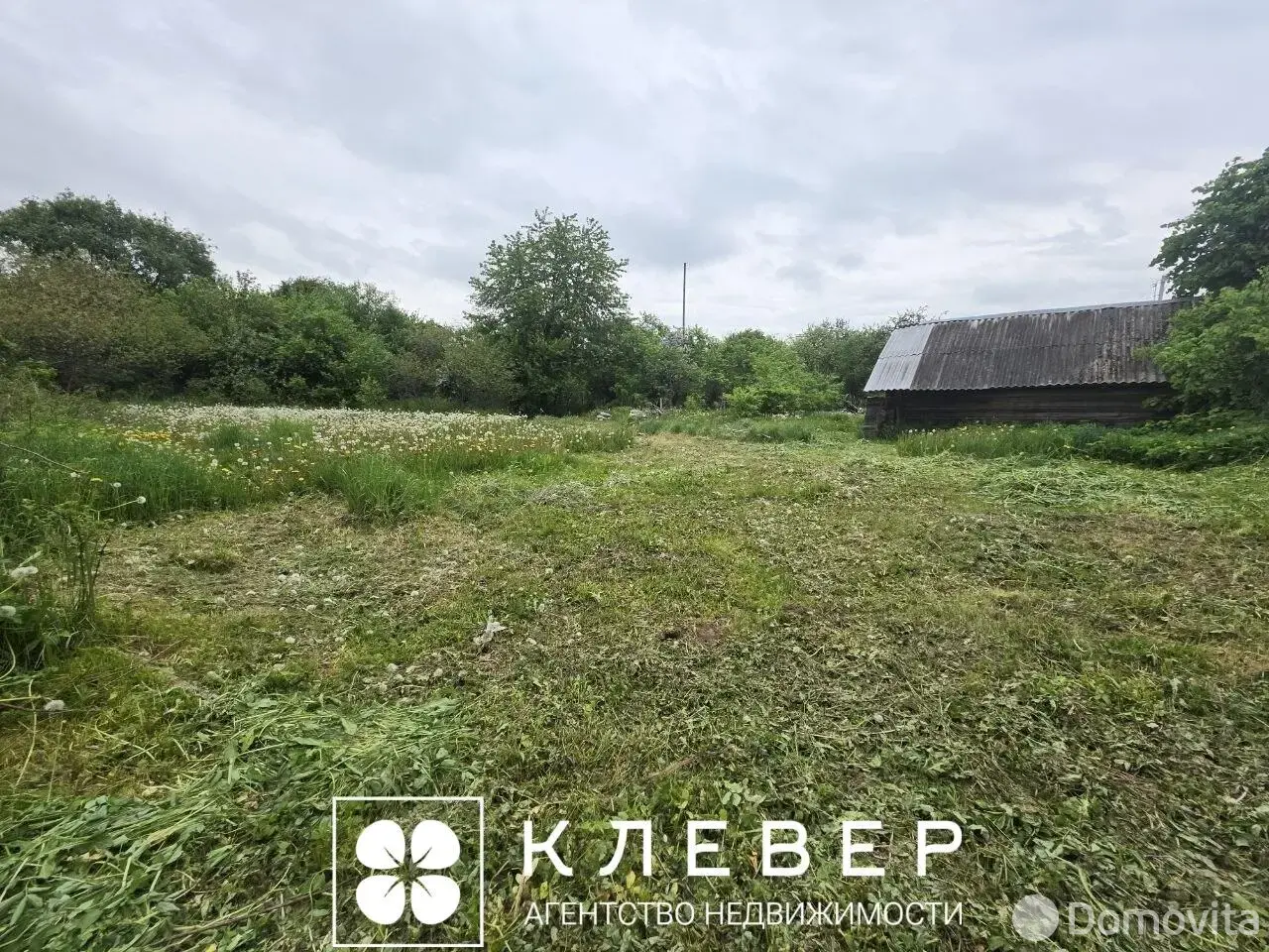 Купить земельный участок, 25 соток, Дещенка, Минская область, 35000USD, код 571987 - фото 13