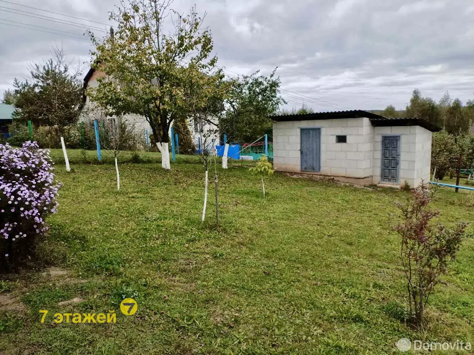 дача, РАМОНАК-МАЗ, 