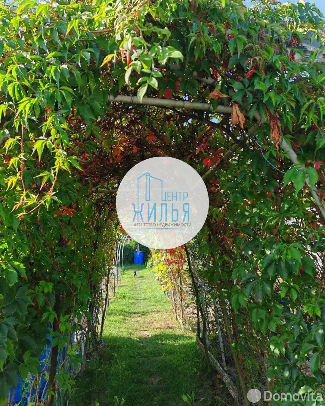 Продажа 1-этажной дачи в Крушина Гродненская область, 60000BYN, код 184247 - фото 33