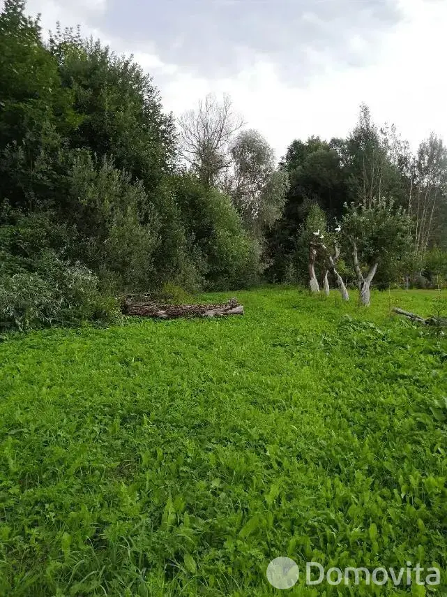 Купить земельный участок, 60 соток, Должа, Витебская область, 25000USD, код 570473 - фото 19