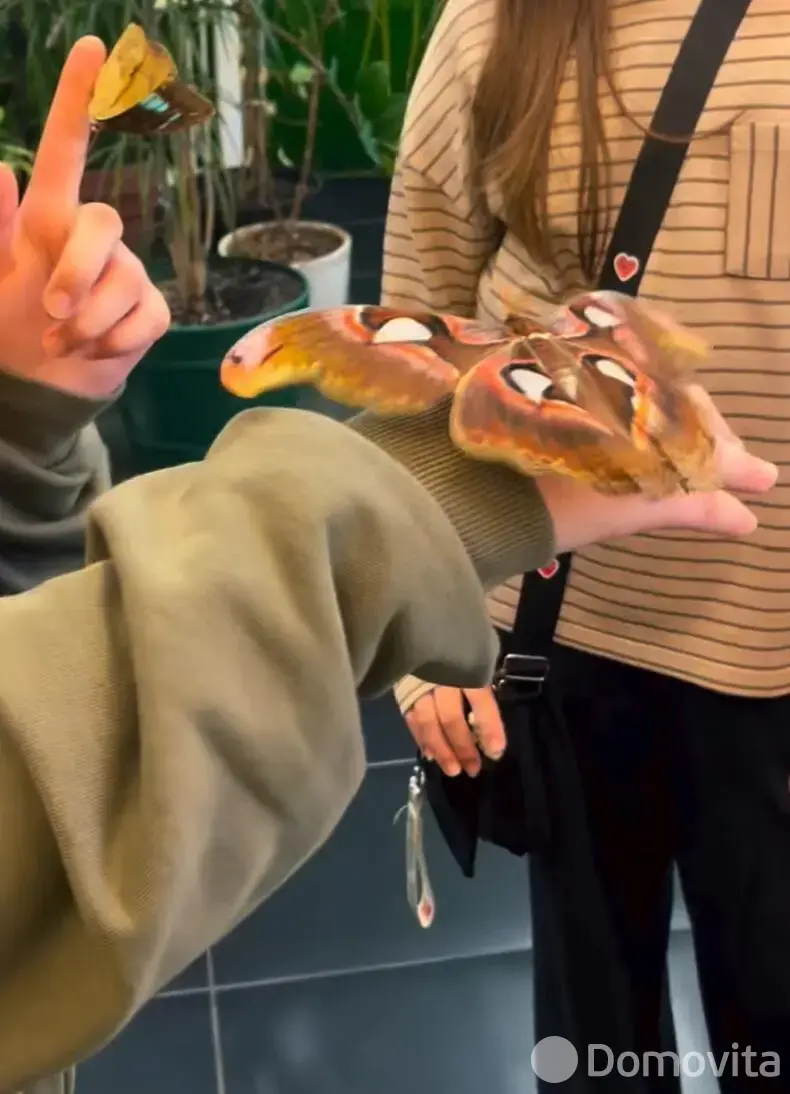 Купить помещение под сферу услуг в Минске, ул. Кирилла Туровского, д. 16 - фото 40