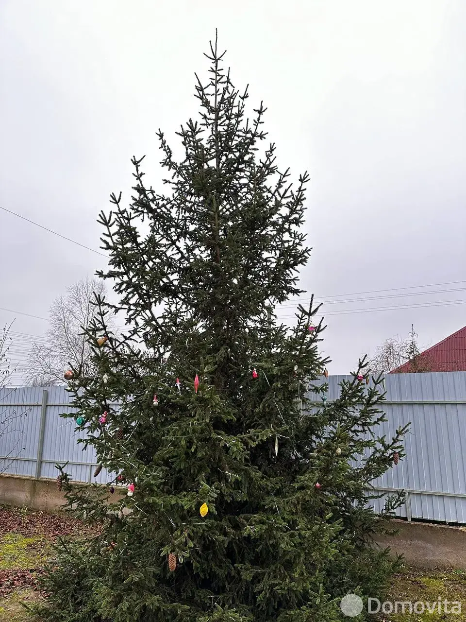 Аренда коттеджа коттедж на сутки на улице Утренняя на сутки в Бресте ул. Утренняя, д. 1 , 35BYN, код 490 - фото 29