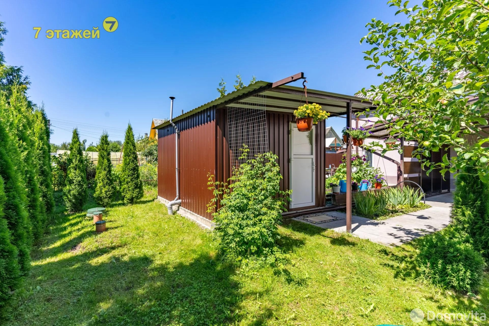 дача, Таксист,