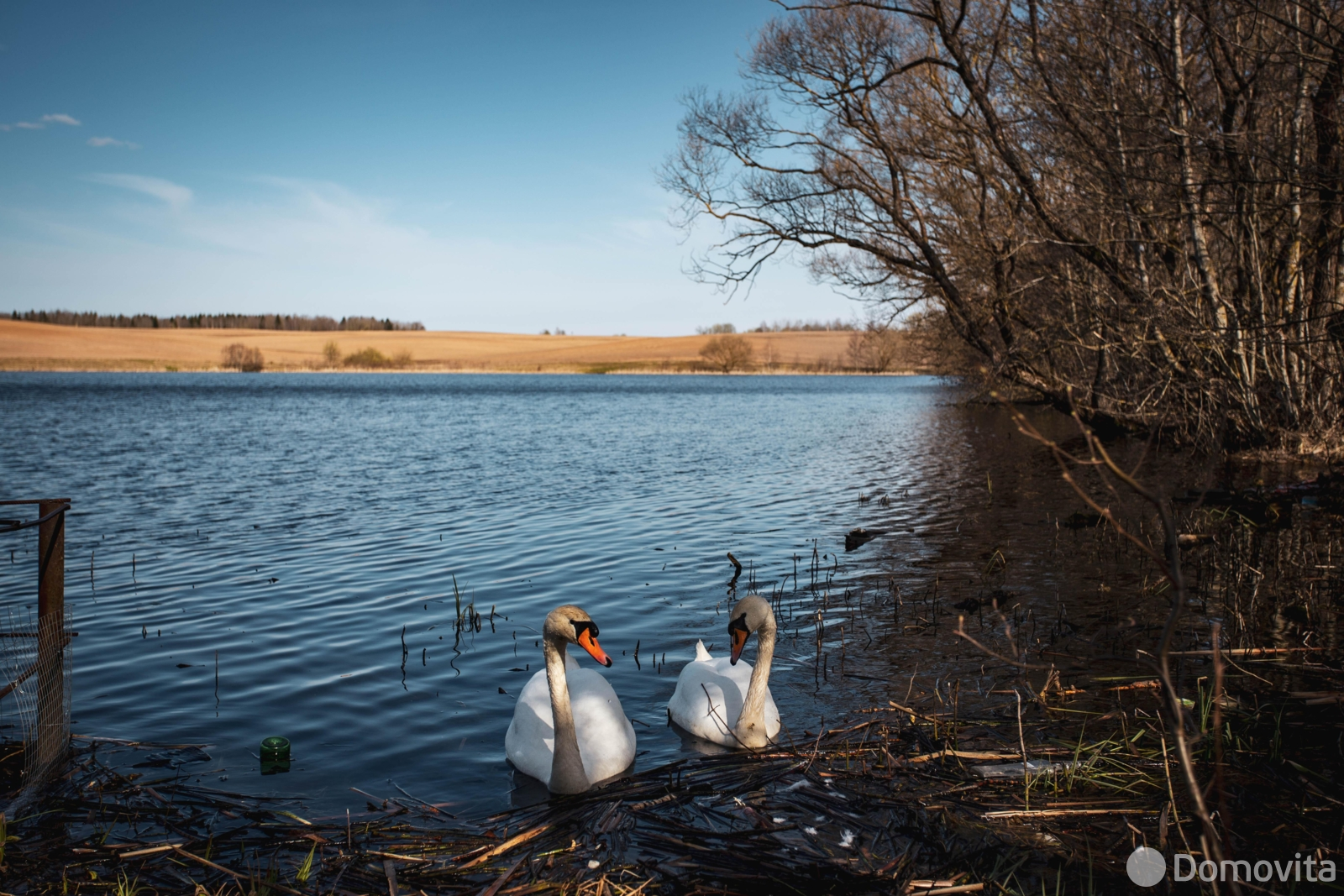 Купить земельный участок, 20.95 соток, Казеково, Минская область, 26500USD, код 571780 - фото 23