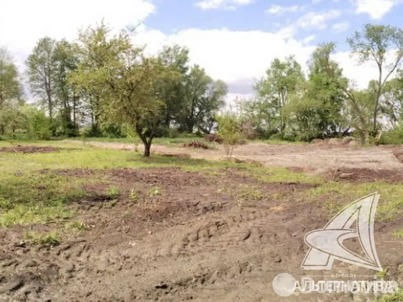 Купить земельный участок, 19.93 соток, Селищи, Брестская область, 11000USD, код 570725 - фото 3