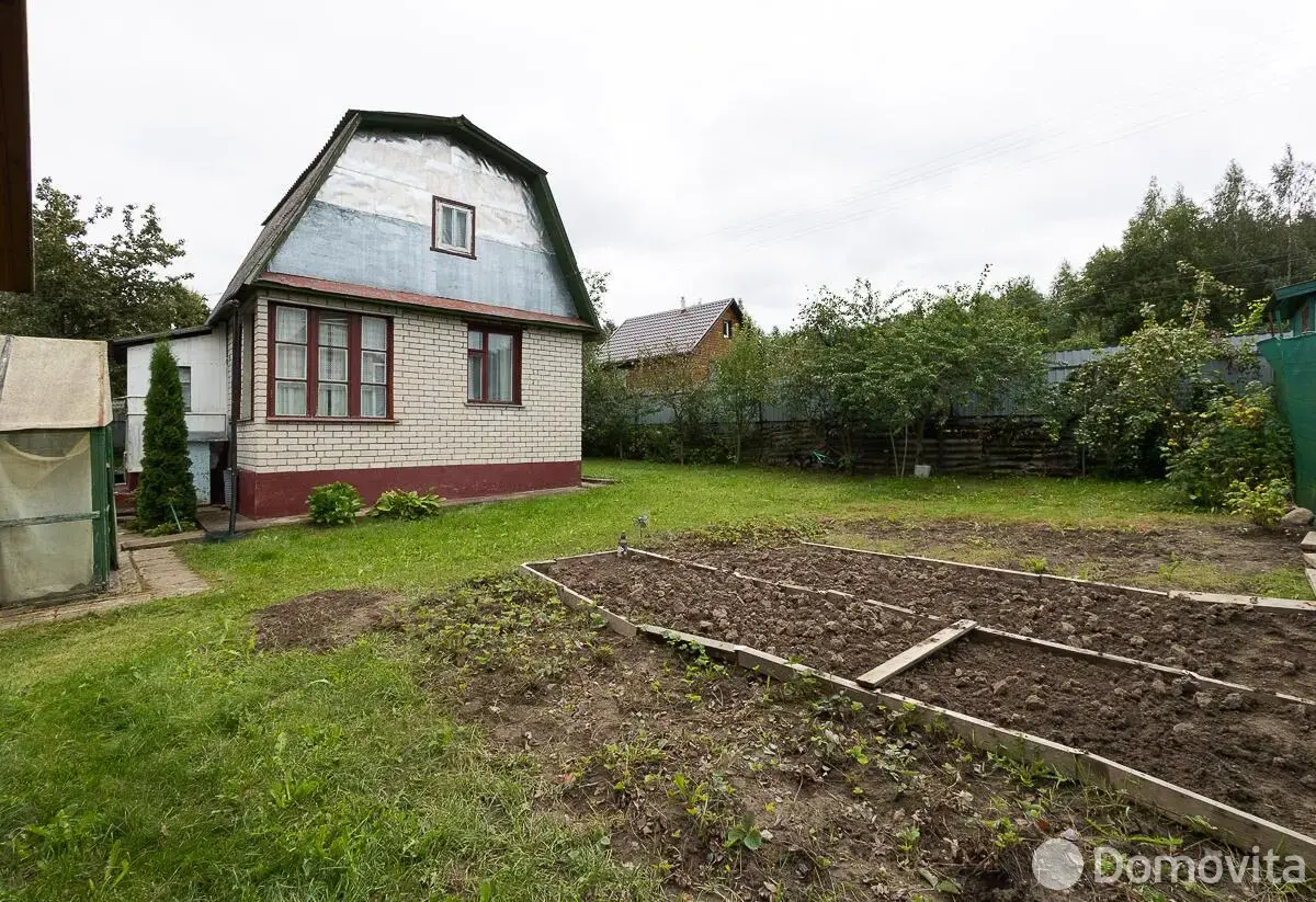 дача, Дружба,