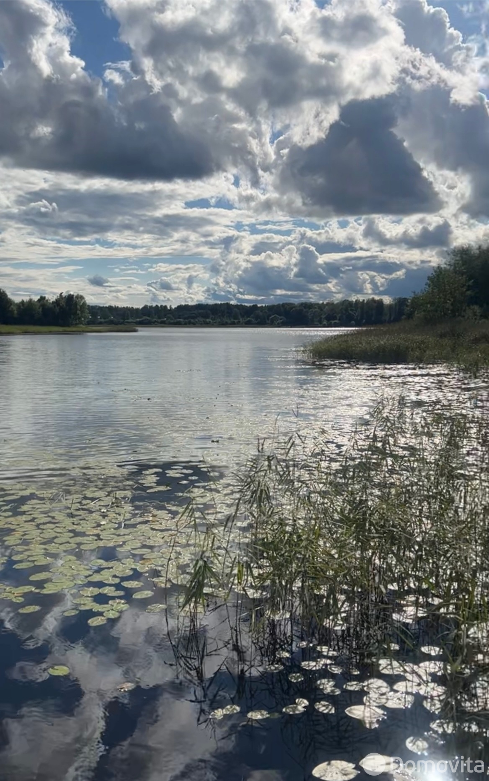 участок, Милашово, ул. Дорожная 